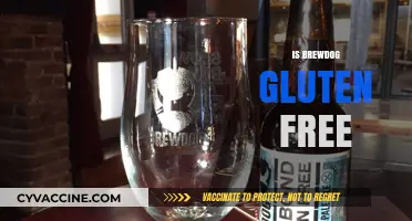 Is BrewDog Gluten-Free? Exploring the Craft Beer Brand's Options
