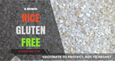 Exploring Gluten-Free Options: Is Brewer's Rice Safe for Celiacs?