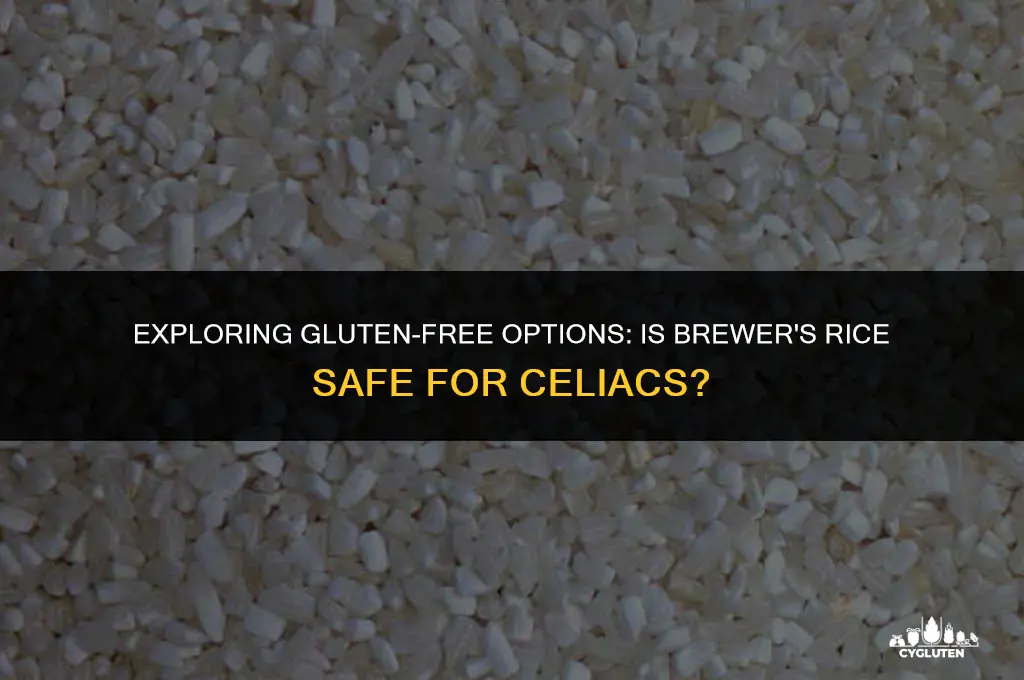 is brewers rice gluten free