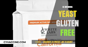 Exploring the Gluten-Free Status of Brewer's Yeast: Facts and Myths