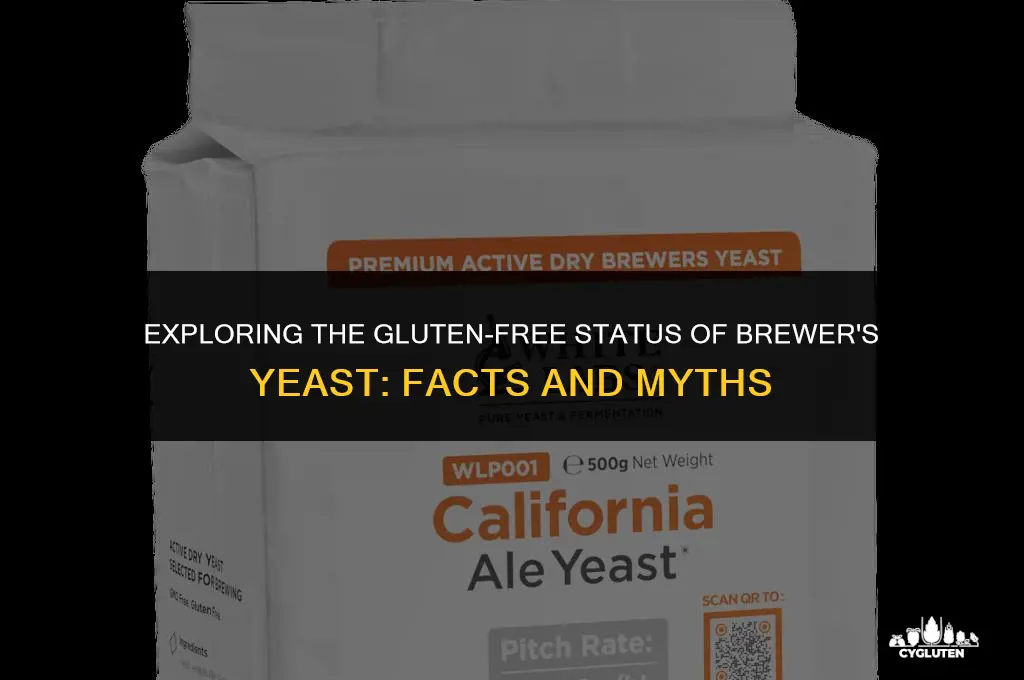 is brewers yeast gluten free