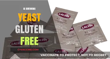 Exploring Gluten-Free Brewing: Yeast's Role in Crafting Safe Beers