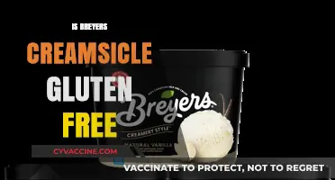 Delving into Desserts: Is Breyers Creamsicle Gluten-Free?