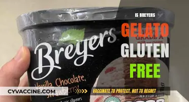Delicious and Safe: Exploring Breyers Gelato's Gluten-Free Options