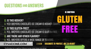 Is Breyers Gluten Free? A Comprehensive Guide to Safe Ice Cream Choices