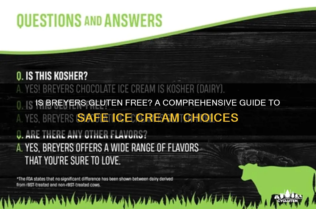 is breyers gluten free