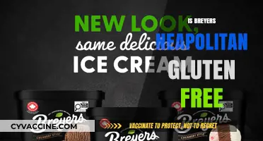 Delving into Desserts: Is Breyers Neapolitan Gluten-Free?