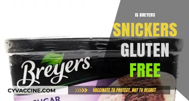 Indulge in Breyers Snickers Ice Cream: A Gluten-Free Delight!