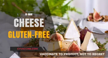 Exploring the Delicious World of Brie Cheese: Gluten-Free or Not?