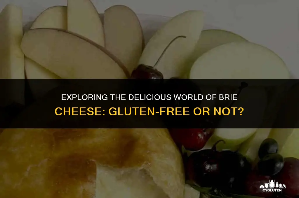 is brie cheese gluten-free