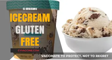 Delicious and Safe: Brigham's Ice Cream for Gluten-Free Diets