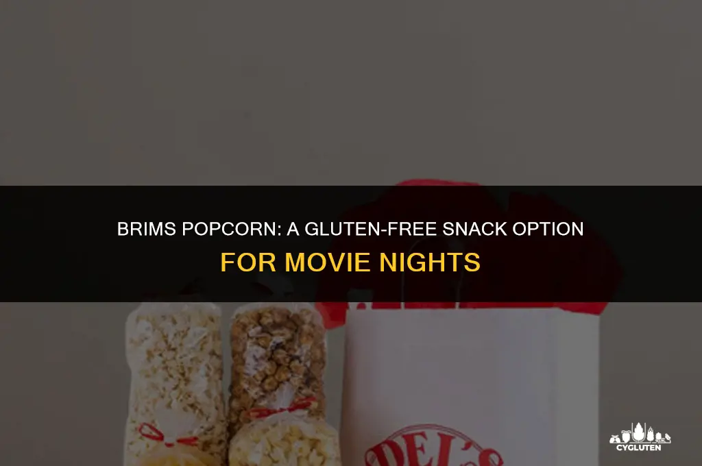 is brims popcorn gluten free
