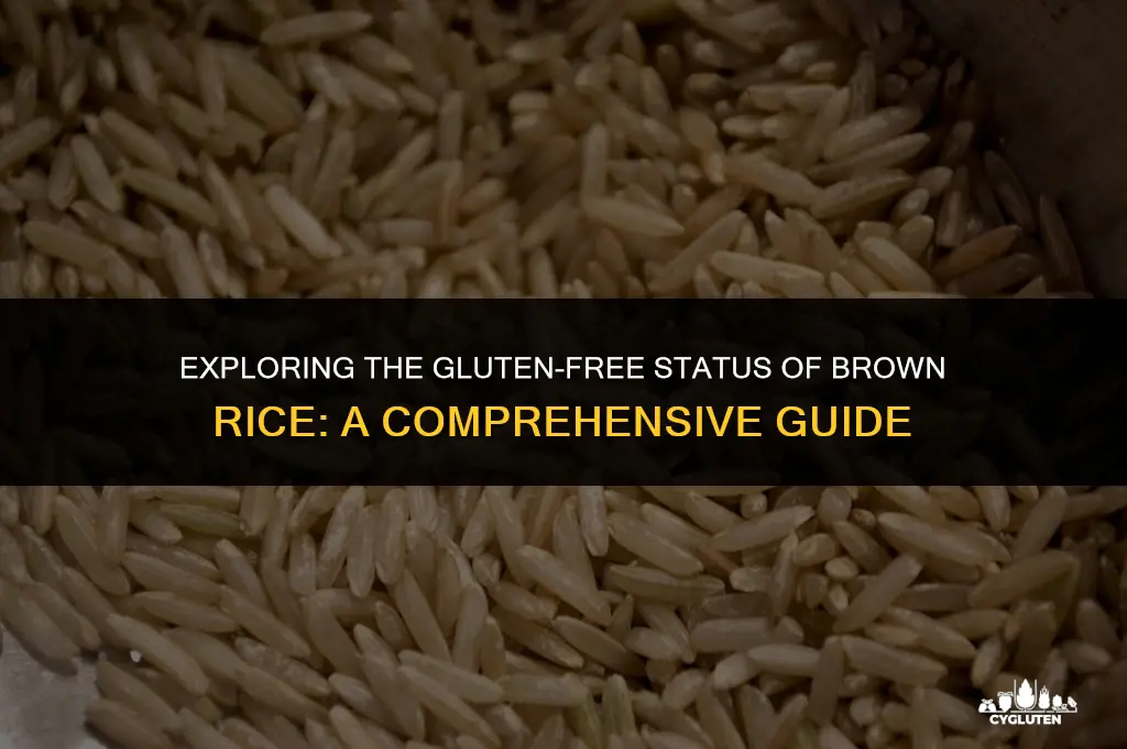 is briwn rice gluten free