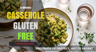 Delicious and Nutritious: Is Broccoli Casserole Gluten-Free?