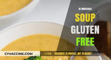 Delicious and Nutritious: Is Broccoli Soup Gluten-Free?