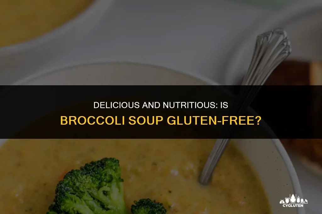 is broccoli soup gluten free