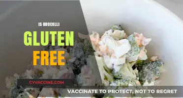 Is Broccoli Gluten-Free? A Clear Answer for Your Diet