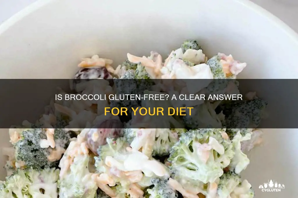is brocolli gluten free
