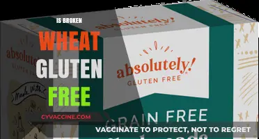 Exploring the Gluten-Free Status of Broken Wheat: Facts and Myths