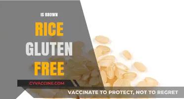 Is Brown Rice Gluten-Free? A Clear Answer for Your Diet