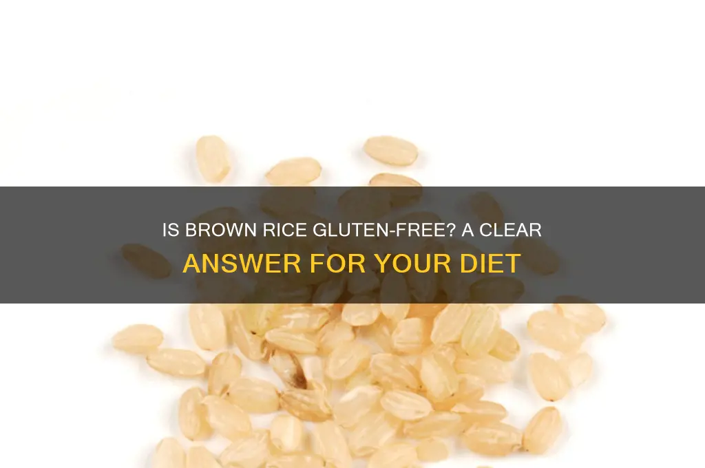 is brown rice gluten free