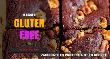 Are Brownies Gluten-Free? Uncovering the Truth for Celiac Diets