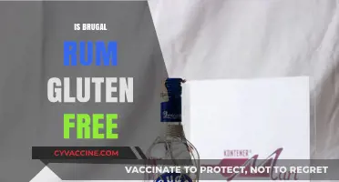 Sipping Safely: Exploring Whether Brugal Rum Fits a Gluten-Free Lifestyle