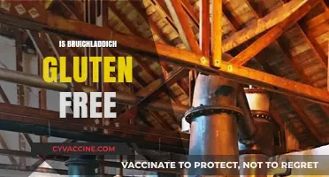 Is Bruichladdich Gluten-Free? Exploring the Scotch Whisky's Ingredients