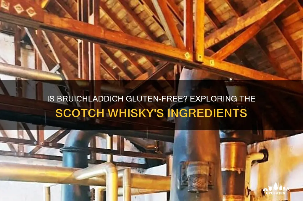 is bruichladdich gluten free