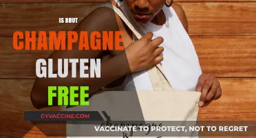 Sipping Safely: Is Brut Champagne Gluten-Free?