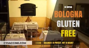 Exploring Bryan Bologna: A Gluten-Free Delight or Not?