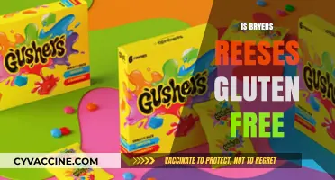 Delving into Desserts: Is Bryer's Reese's Gluten-Free?