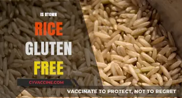 Exploring Gluten-Free Options: Is Brown Rice a Safe Choice?