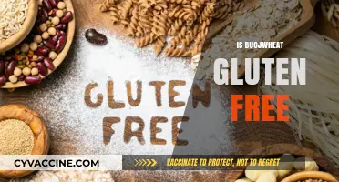 Is Buckwheat Gluten-Free? Unraveling the Truth for Celiac Diets
