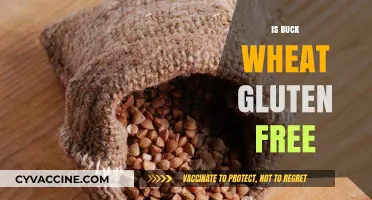 Exploring the Gluten-Free Benefits of Buckwheat