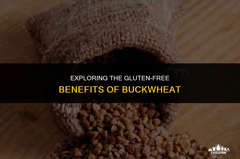 is buck wheat gluten free