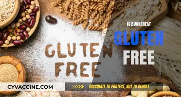 Is Buckwheat Gluten-Free? Unraveling the Truth for Celiac Diets