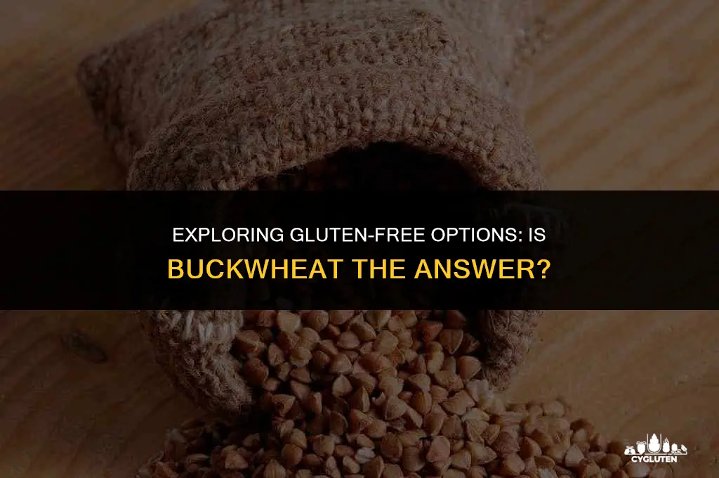 is buckw heat gluten free