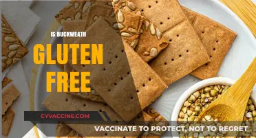 Is Buckwheat Gluten-Free? Unraveling the Truth for Celiac Diets