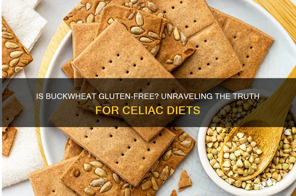 is buckweath gluten free