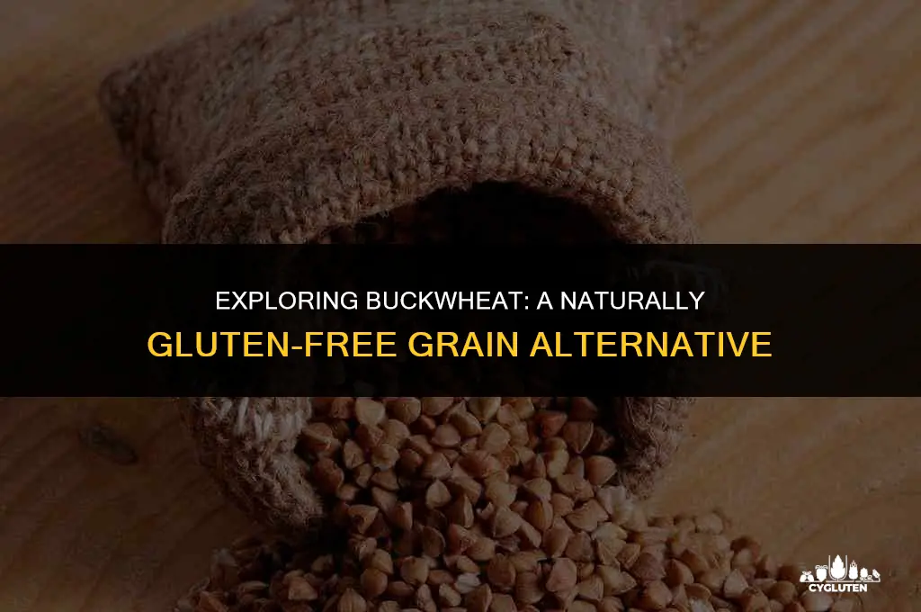 is buckwheat considered gluten free
