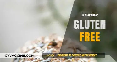 Is Buckwheat Gluten-Free? Unraveling the Truth for Celiac Diets