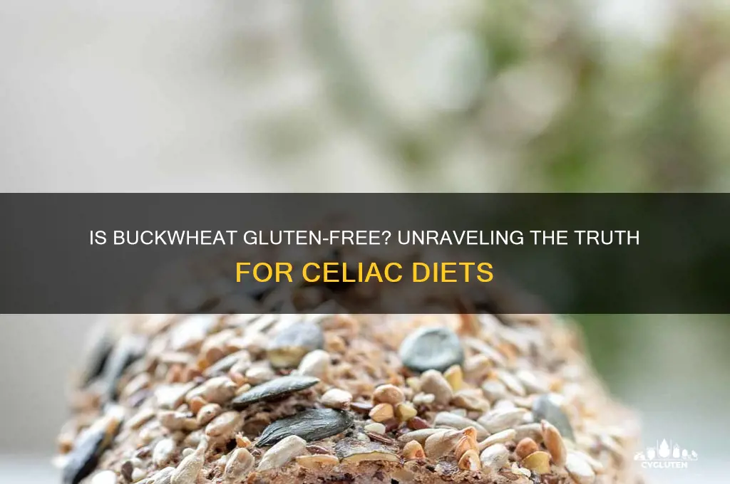 is buckwheat gluten free