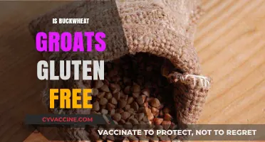 Exploring Buckwheat Groats: A Naturally Gluten-Free Grain Option