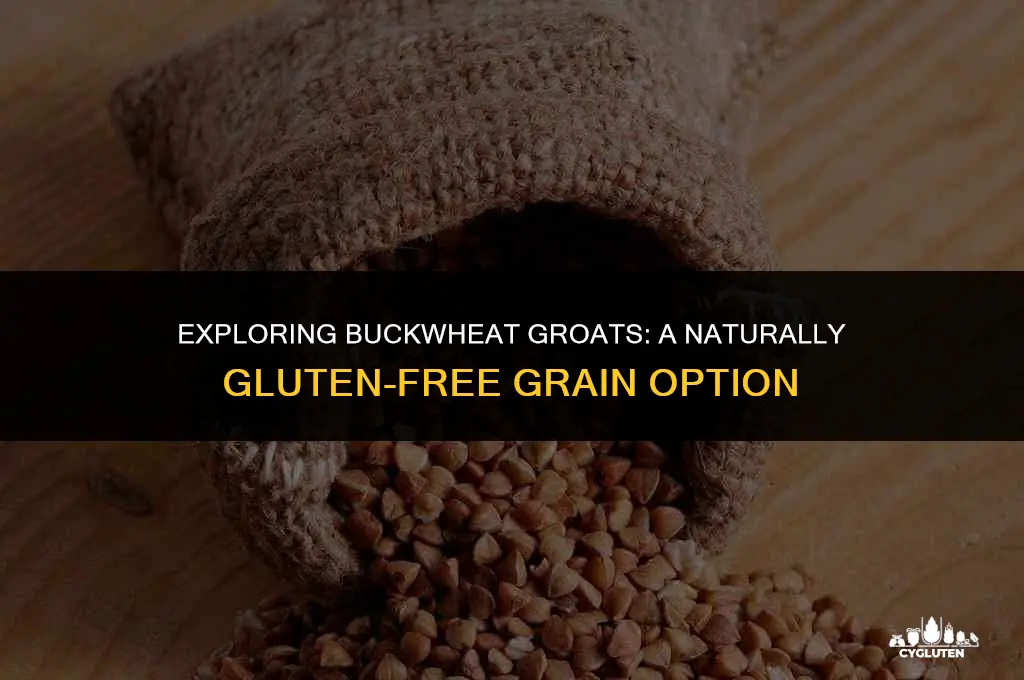 is buckwheat groats gluten free
