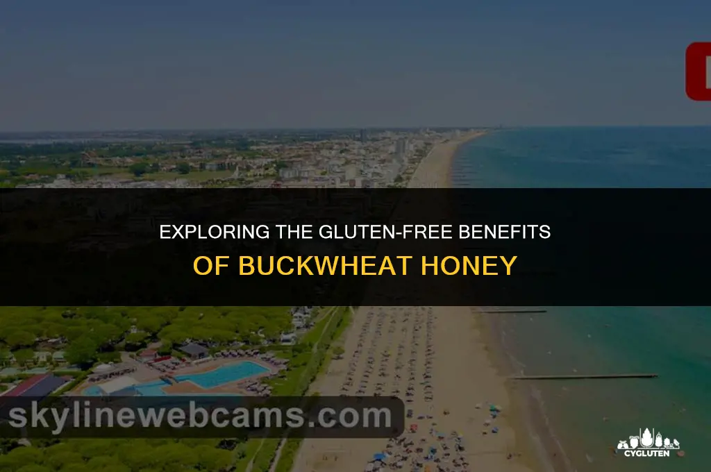 is buckwheat honey gluten free