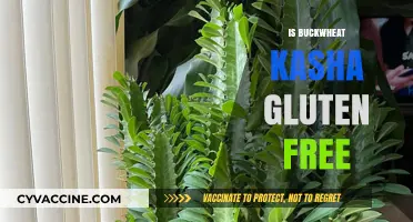 Exploring Buckwheat Kasha: A Naturally Gluten-Free Grain Option