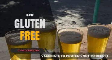 Is Bud Gluten-Free? Unraveling the Truth About Your Favorite Brew