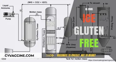 Chilling Facts: Is Bud Ice Really Gluten-Free?