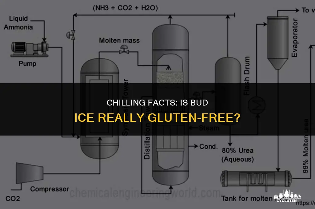 is bud ice gluten free